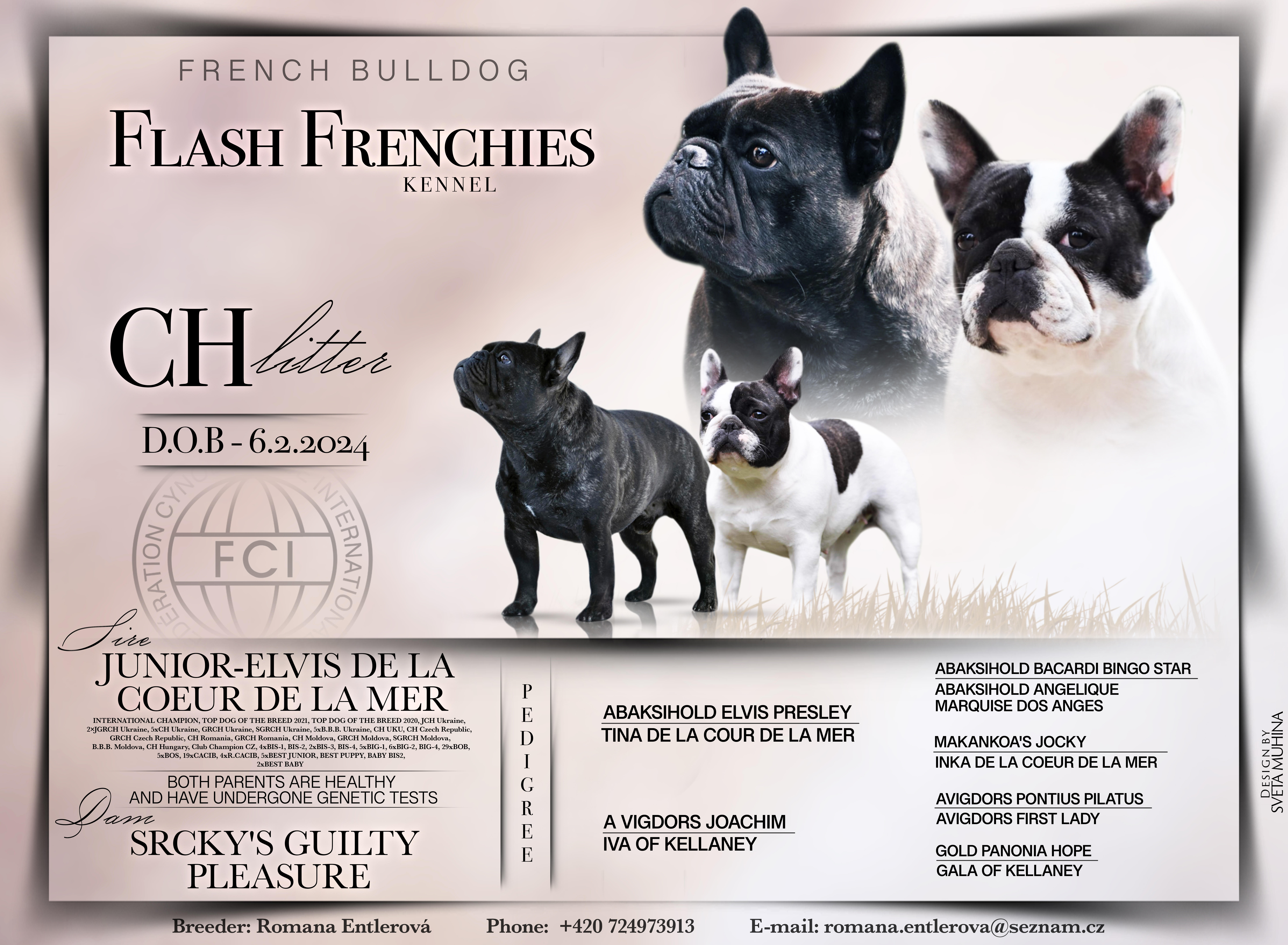 Flash Frenchies